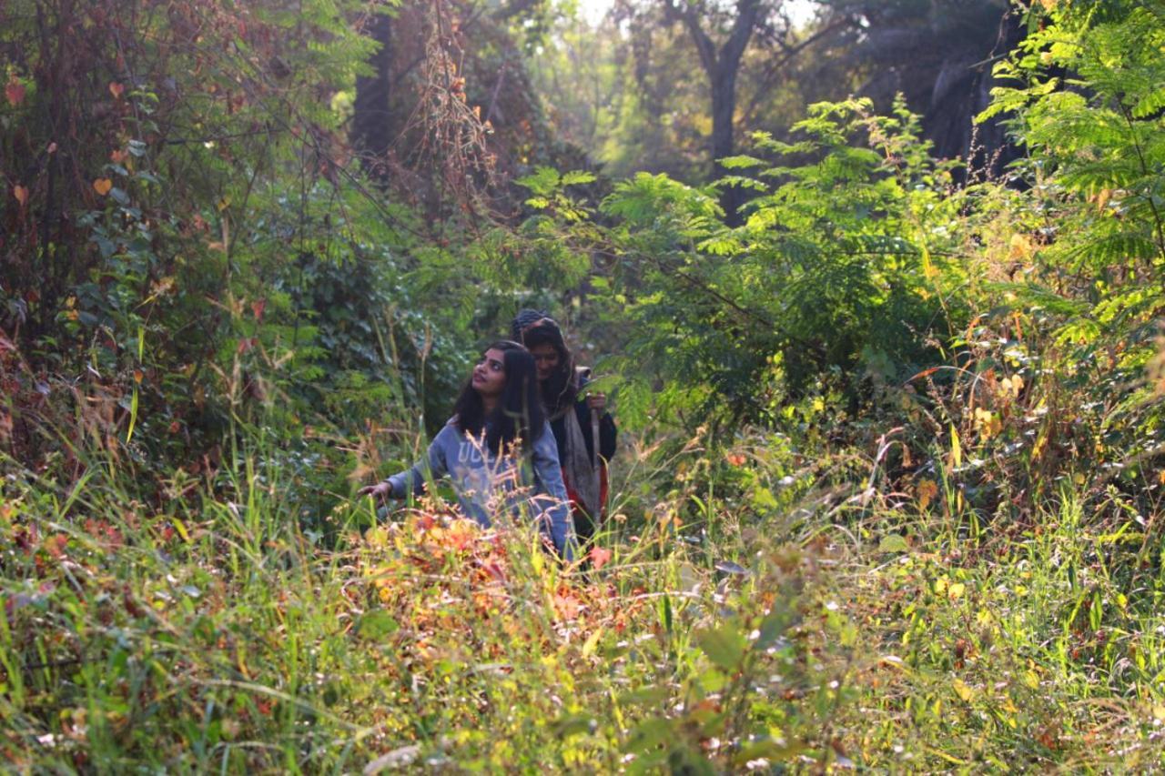 Dera Baghdarrah Nature Retreat Udaipur Eksteriør bilde