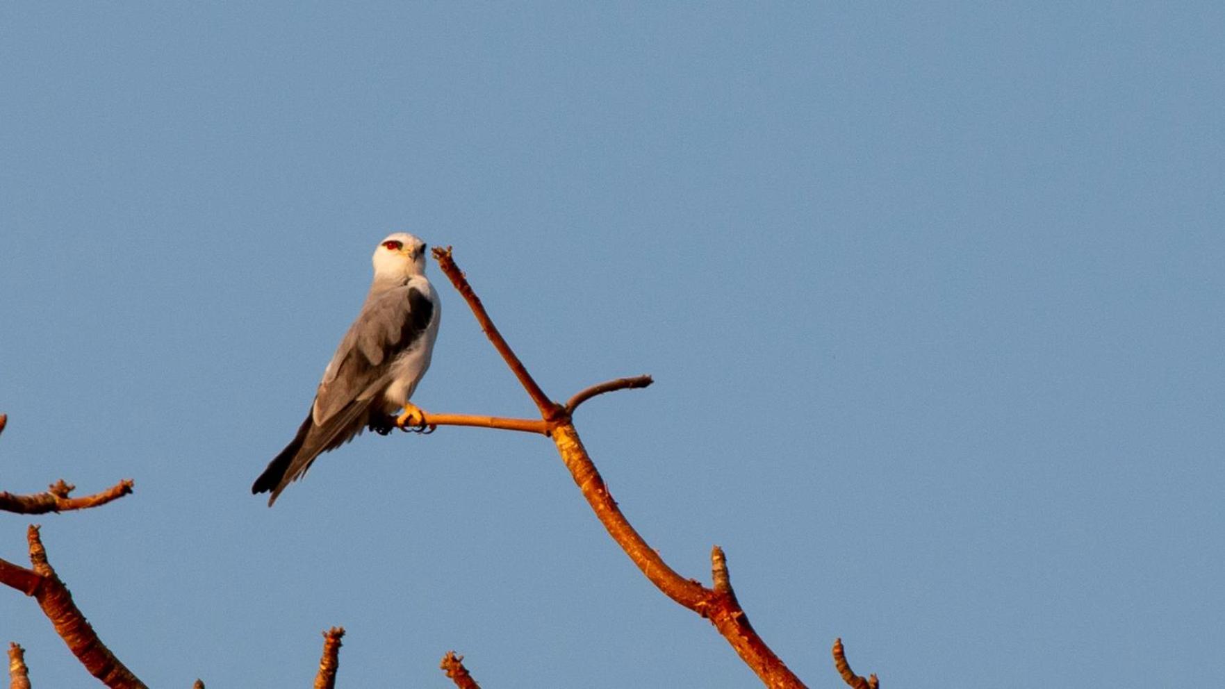 Dera Baghdarrah Nature Retreat Udaipur Eksteriør bilde