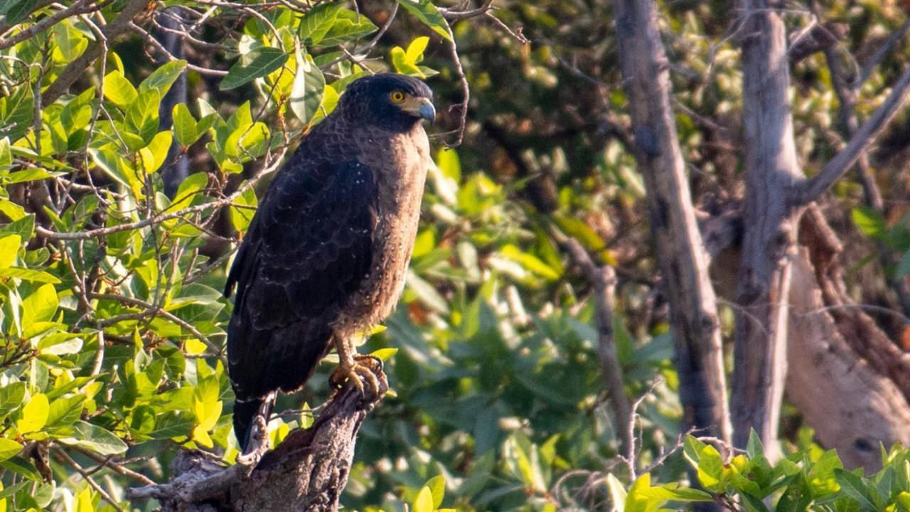 Dera Baghdarrah Nature Retreat Udaipur Eksteriør bilde