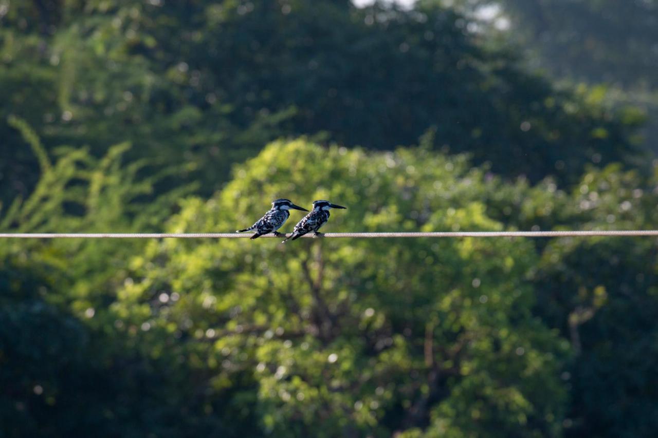 Dera Baghdarrah Nature Retreat Udaipur Eksteriør bilde