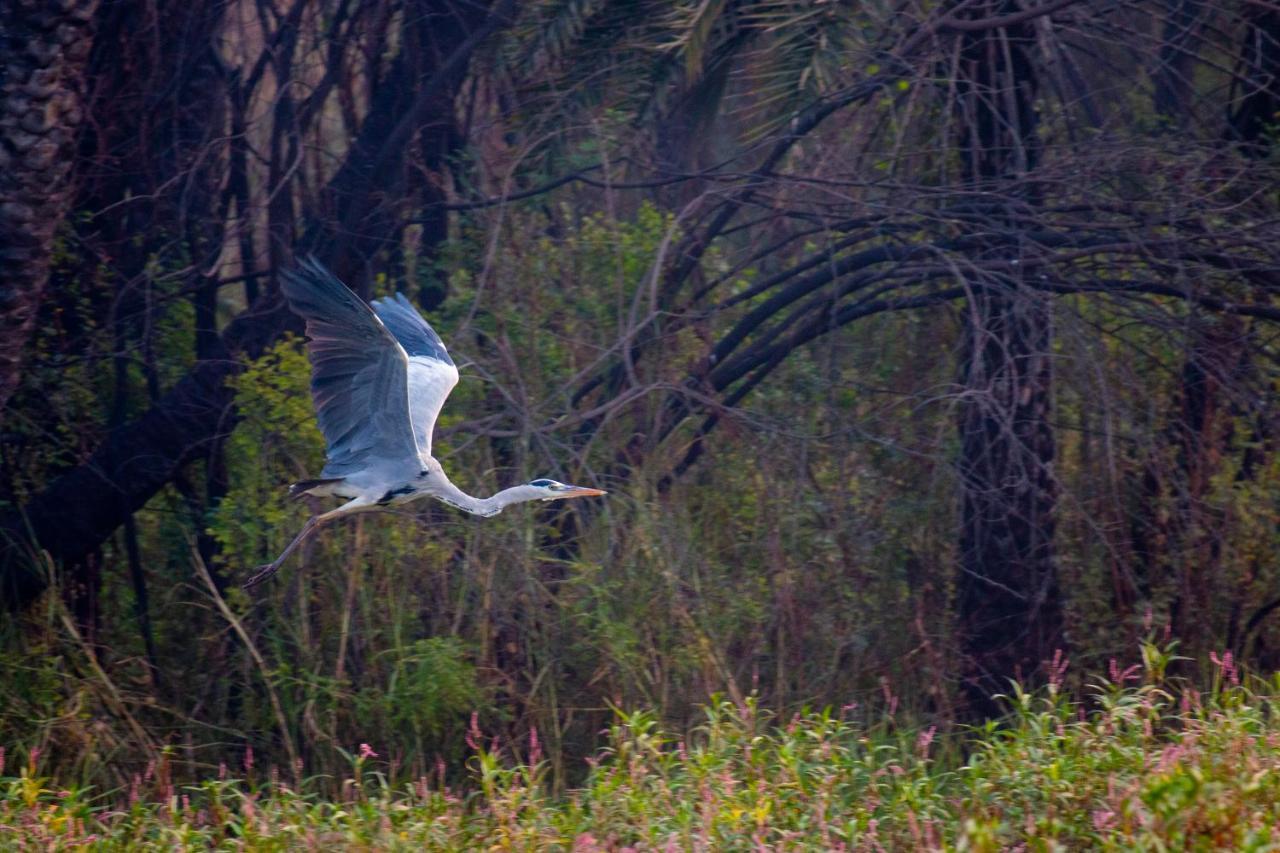 Dera Baghdarrah Nature Retreat Udaipur Eksteriør bilde
